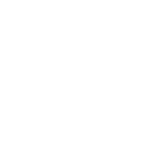 Instagram Gallery